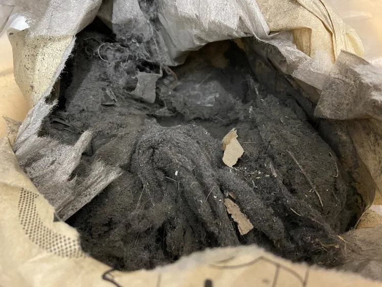 Collected dust in container